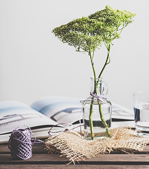 Două plante în borcănel